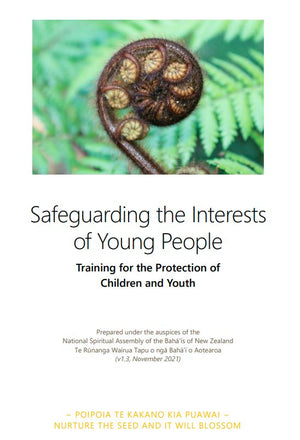 Safeguarding the Interests of Young People_Training Manual and Handbook